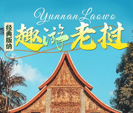 【趣游老撾 · 經(jīng)典版納】—昆明、普洱、西雙版納、磨丁、瑯勃拉邦四動8日游